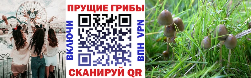 Галлюциногенные грибы ЛСД  где купить наркоту  KRAKEN маркетплейс  Касли 